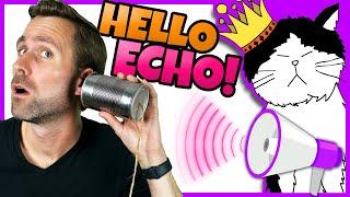  Hello Echo! | Science Learning Song for Kids | Mooseclumps