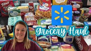 THIS WAS SUCH A TIME SAVER ⏰ Walmart Grocery Haul & Meal Plan || December 2024