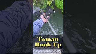 Toman Hunting No.014 "Tree Wall" "木遁 樹界降臨" #lurefishing #tomanfishing ##snakehead #魚虎 #路亞 #多曼