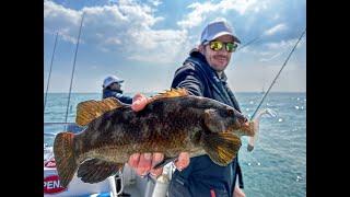 SEABASS FISHING WITH GULP! LURES IN BRITANNY