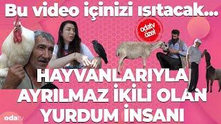 Bu video içinizi ısıtacak... Hayvanlarıyla ayrılmaz ikili olan yurdum insanı