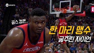 플레이오프가 고픈 자이언 윌리엄슨의 폭주 | 뉴올리언스 vs 새크라멘토 | NBA 경기 리뷰