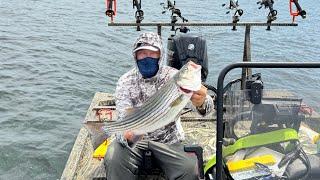 Рыбалка в Южной Каролине , страйпер, ￼#fishing #рыбалка #fish #рыба #рыбалкаиохота #рыбалкавсша