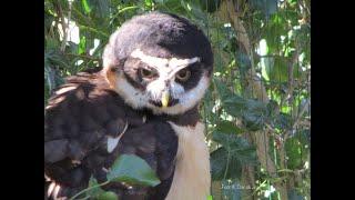 Dagje uit naar het Uilen en Dierenpark de Paay in Beesd door Tine de Jong