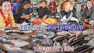 #สาวลาว #สาวลาวใต้ #เที่ยวลาวใต้  #ตลาด แม่ดาวเรืองเมืองปากเซ ลาวใต้ ปลาแม่น้ำโขง สดๆตัวใหญ่ๆ