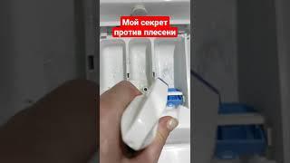 Мой секрет против плесени в лотке.
