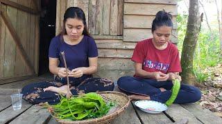 Suku Dayak || Panen Petai Langsung Masak di Pondok