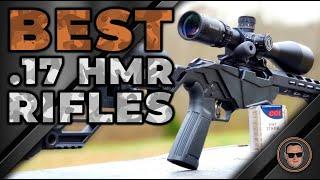 Best .17 HMR Rifles : Round-up | Gunmann