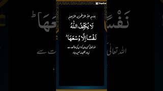 #quran heart touching voice surah al amna rasool#