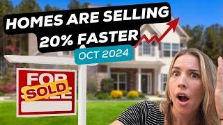 Edmonton Real Estate Market Update – October 2024