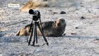 Inselleben Teil 2: Die Nordseeinsel Helgoland | euromaxx