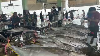 Showing what’s inside of General Santos City Fish Port | Big Tuna