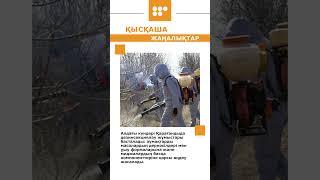#новости #5 канал Караганда