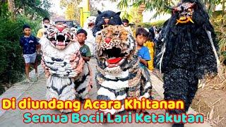 Can macanan singo Raung cilik di undang acara khitanan dan ngejar bocil