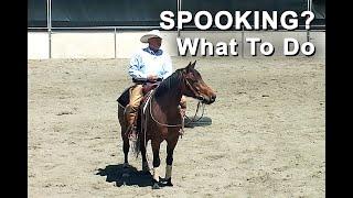 Horse Spooks? Here's What To Do