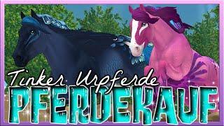 Wir KAUFEN beide TINKER URPFERDE  Star Stable Pferdekauf [SSO]