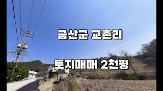 금산 진산면 교촌리 토지매매 2천평