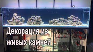 Морской аквариум 3 метра! Монтаж декорации из живых камней @nikolasvr79