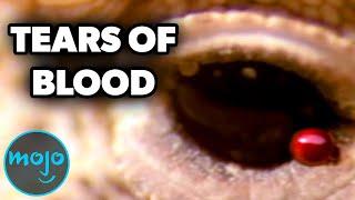 Top 10 Creepy Animal Facts That Will Keep You Up at Night