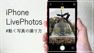 【iPhoneで簡単】LivePhotos機能を使った「動く写真」の撮影方法