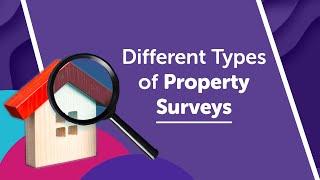 The Different Types of Property Survey Explained UK