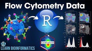 Flow Cytometry Data Analysis in R : A Complete Tutorial 2024