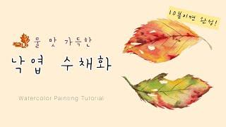 [ENG] 빠르게 그리는 낙엽 수채화| 물 맛 가득한 수채화 번지기 | Watercolor Painting Tutorial