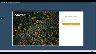 Identity and Authentication Management in SAP Business One Cloud