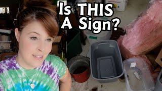 Is That a Sign? | Reselling Behind The Scenes | Crazy Lamp Lady