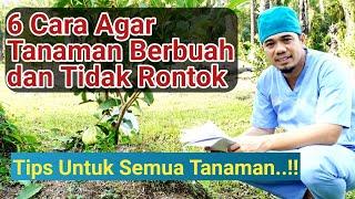 Harus Tahu..! Cara agar Buah dan Bunga Tidak Rontok, Cara Agar Tanaman Berbuah dan Tidak Rontok..!!