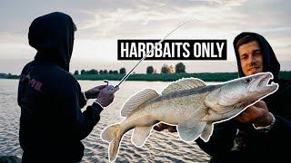 Hardbaits ONLY! Mit Twitchbait auf FETTE Barsche und ZANDER