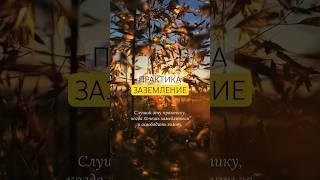 #осознанность #практика #медитация #релакс #расслабление #умиротворение #заземление #здоровье #душа