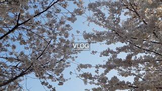 30대 주부 vlog, 사회적 거리두기 집콕 vlog l 대파와 양상추 손질, 메추리알 곤약 조림 #주부브이로그 #집콕일상