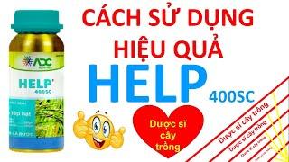 Help cách trị lem lét hạt, đạo ôn cổ bông cho cây lúa | ADC | thuốc trừ bệnh