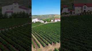 Licorna Winehouse, fly over. #licornawinehouse #licorna #wine #dronefootage #dji #winetime #winetour