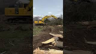 House  demolition in Ogden, Utah.