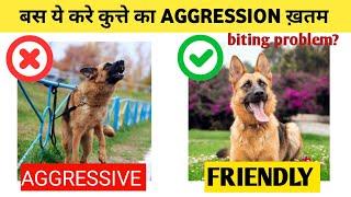 Aggressive and biting problem in dog / बस ये करे कुत्ते का aggression ख़तम