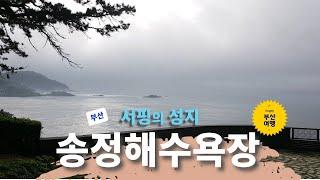 서핑의 성지 송정해수욕장 산책