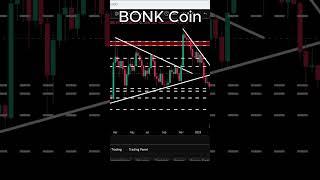 BONK Coin is CRASHING HARD! What’s Next?