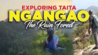 Explore Taita Taveta's Ngangao Forest | The Endemic Rain Forest