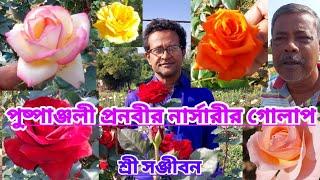 পুষ্পাঞ্জলী প্রনবীর নার্সারীর গোলাপ||Rose Of Pushpanjali Pranabir||Sree Sanjiban||