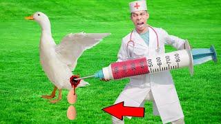 Exclusive Trending Comedy Video 2025Amazing Injection Wala Comedy Video Doctor E 374 B Family Fun Tv