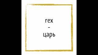 Крылатые выражения на латыни (Qualis rex, talis grex)