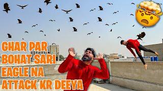 Ghar per bahut sari eagle na attack Kar Diya  part 2 | Syed fahad | the fun fin |