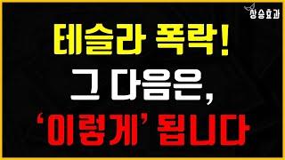 테슬라 폭락 후의 주가 시나리오 (2025년 테슬라 주가전망)