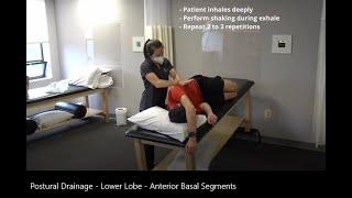 Postural Drainage: Lower Lobe - Anterior Basal Segments