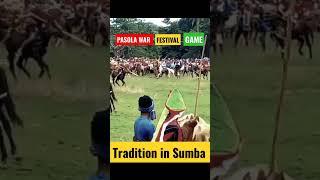 #short #wargaming #pasola #sumba #tradition #festival