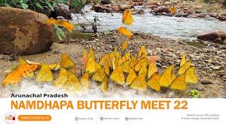 Namdapha Butterfly meet 2022 | Arunachal Pradesh