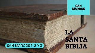 SAN MARCOS 1, 2, 3 (DÍA 254) LA SANTA BIBLIA || Audiolibro ||