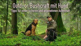 Outdoor/Bushcraft mit Hund im Wald - hier meine Erfahrungen  - Teil 1 -